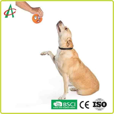 cani di giocattoli interattivi di masticazione di 6.5cm